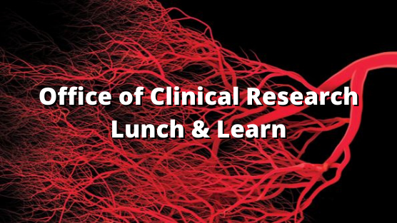 Lunch & Learn Graphic
