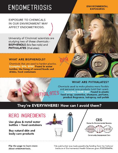 Endometriosis & Environmental Exposures Infographic Page 2
