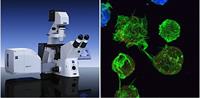 ZeissConfocal Microscope jpg Photo of Zeiss Confocal Microscope