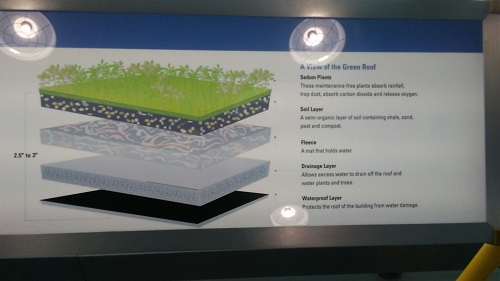 figure-10-green-roof figure-10-green-roof