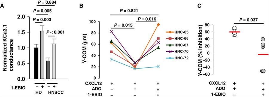 chemotaxis-image chemotaxis-image