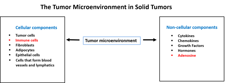 tumor-microenvironment tumor-microenvironment