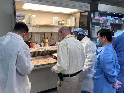 Review of Brain Cutting Review of Brain Cutting