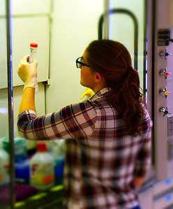 researcher-in-lab researcher-in-lab